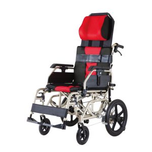 輪椅 必翔 PH-166空中傾倒型看護輪椅(未滅菌)